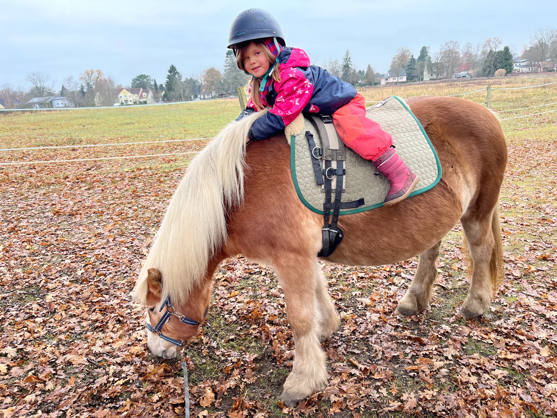 Kind mit Pferd bei der Reittherapie auf dem Projekthof Schildow